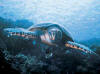 isole Maldive Photo gallery Kihaad resort  isola di Kihaadhuffaru Atollo di Baa