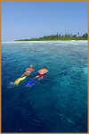 Isole Maldive Kuredu resort isola di Kuredhoo atollo di Lhaviyani