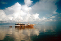 Foto Isole Maldive Crociera Maarana 2003 Male sud Felidhoo Wattaru Mulaku by Liana&Davide