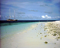 Foto Isole Maldive Crociera Maarana 2003 Male sud Felidhoo Wattaru Mulaku by Liana&Davide