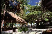 Isole Maldive Machchafushi resort isola di Machchafushi atollo di Ari sud