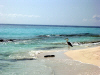 Isole Maldive l'isola deserta di Madoogali atollo di Ari nord luglio 2003 by Claudia&Dario di www.tuttomaldive.it : isola deserta di Vihamaafaru
