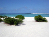 Isole Maldive l'isola deserta di Madoogali atollo di Ari nord luglio 2003 by Claudia&Dario di www.tuttomaldive.it : isola deserta di Vihamaafaru