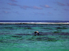 Isole Maldive l'isola deserta di Madoogali atollo di Ari nord luglio 2003 by Claudia&Dario di www.tuttomaldive.it : isola deserta di Vihamaafaru
