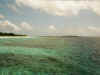 9.jpg (66392 byte)