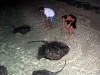 Isole Maldive Moofushi resort atollo di Ari sud by Claudia&Dario di www.tuttomaldive.it : la cena dei trigoni