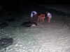 Isole Maldive Moofushi resort atollo di Ari sud by Claudia&Dario di www.tuttomaldive.it : la cena dei trigoni