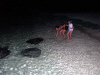 Isole Maldive Moofushi resort atollo di Ari sud by Claudia&Dario di www.tuttomaldive.it : la cena dei trigoni