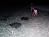 Isole Maldive Moofushi resort atollo di Ari sud by Claudia&Dario di www.tuttomaldive.it : la cena dei trigoni