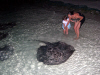 Isole Maldive Moofushi resort atollo di Ari sud by Claudia&Dario di www.tuttomaldive.it : la cena dei trigoni