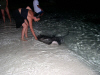 Isole Maldive Moofushi resort atollo di Ari sud by Claudia&Dario di www.tuttomaldive.it : la cena dei trigoni