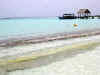 Isole Maldive Moofushi resort atollo di Ari sud by Claudia&Dario di www.tuttomaldive.it : spiaggia nostra camera con bidoni e roccia basaltica
