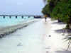 Isole Maldive Moofushi resort atollo di Ari sud by Claudia&Dario di www.tuttomaldive.it : spiaggia nostra camera con bidoni e roccia basaltica