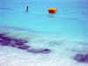 Isole Maldive Moofushi resort atollo di Ari sud by Claudia&Dario di www.tuttomaldive.it : spiaggia nostra camera con bidoni e roccia basaltica