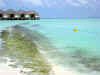 Isole Maldive Moofushi resort atollo di Ari sud by Claudia&Dario di www.tuttomaldive.it : spiaggia nostra camera con bidoni e roccia basaltica