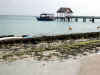 Isole Maldive Moofushi resort atollo di Ari sud by Claudia&Dario di www.tuttomaldive.it : spiaggia nostra camera con bidoni e roccia basaltica