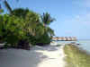 Isole Maldive Moofushi resort atollo di Ari sud by Claudia&Dario di www.tuttomaldive.it : spiaggia nostra camera con bidoni e roccia basaltica