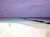 Isole Maldive Moofushi resort atollo di Ari sud by Claudia&Dario di www.tuttomaldive.it : muretti antierosione spiaggia lato laguna  e overwater