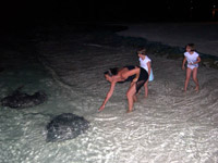 Isole Maldive Moofushi resort atollo di Ari sud by Claudia&Dario di www.tuttomaldive.it : la cena dei trigoni