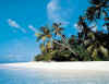 Nakatchafushi_1.jpg (39765 byte)