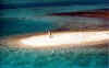L'AIRONE CINERINO Olhuveli