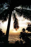 TRAMONTO CON PALMA Olhuveli