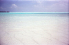 Isole Maldive isola di Olhuveli gennaio 2003 atollo di male sud by Alessandra&C.