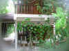 Isole Maldive : Palm Beach resort aprile 2003 isola di Madhiriguraidhoo atollo di Lhaviyani by Mauro&Ale
