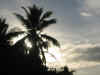 Isole Maldive : Palm Beach resort aprile 2003 isola di Madhiriguraidhoo atollo di Lhaviyani by Mauro&Ale