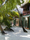 Isole Maldive isola di Rannalhi atollo di male sud by Beppe