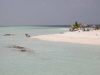 Isole Maldive Ranveli resort isola di Viligilivaru atollo di Ari Sud by Fabio