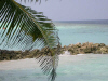 Isole Maldive Ranveli resort isola di Viligilivaru atollo di Ari Sud by Fabio