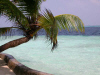 Isole Maldive Ranveli resort isola di Viligilivaru atollo di Ari Sud by Fabio