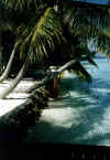 Ranveli11.jpg (43462 byte)