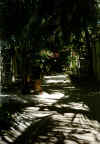 Ranveli25.jpg (42491 byte)