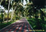Isole Maldive Sun Island resort isola di Nalaguraidhoo atollo di Ari sud by Christian&Eva www.digitalvoodoo.de