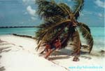 Isole Maldive Sun Island resort isola di Nalaguraidhoo atollo di Ari sud by Christian&Eva www.digitalvoodoo.de