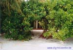 Isole Maldive Sun Island resort isola di Nalaguraidhoo atollo di Ari sud by Christian&Eva www.digitalvoodoo.de
