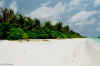 sc0010.jpg (34367 byte)