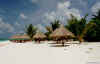 sc006.jpg (33286 byte)