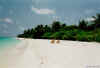 sc008.jpg (29889 byte)