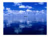 veli07.jpg (28857 byte)
