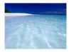 veli10.jpg (22073 byte)