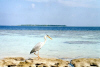 Isole Maldive Vilamendhoo resort isola di Vilamendhu atollo di Ari Sud by Claudia&Mauro