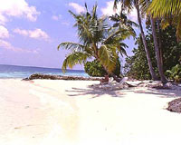 Isole Maldive Vilamendhoo resort isola di Vilamendhu atollo di Ari Sud