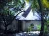 Maldive 045.jpg (81220 byte)