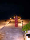 Maldive 048.jpg (24926 byte)