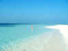 Maldive 056.jpg (25260 byte)