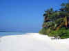 Maldive 058.jpg (32197 byte)