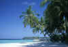 isole maldive vilu reef resort isola di meedhufushi atollo di nilandhoo sud